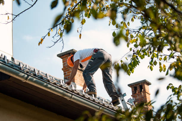 Best Roof Waterproofing Services  in Hawkinsville, GA