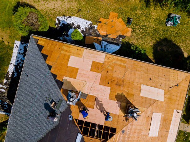 Best Roof Repair Services  in Hawkinsville, GA