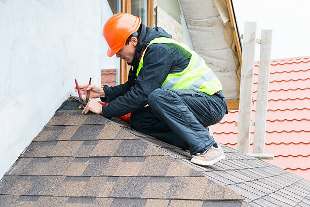 Best Local Roofing Companies  in Hawkinsville, GA