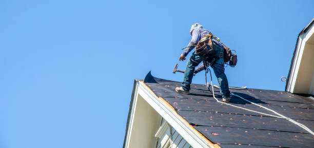 Best Roof Maintenance Services  in Hawkinsville, GA